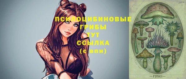 прущий лед Алексеевка