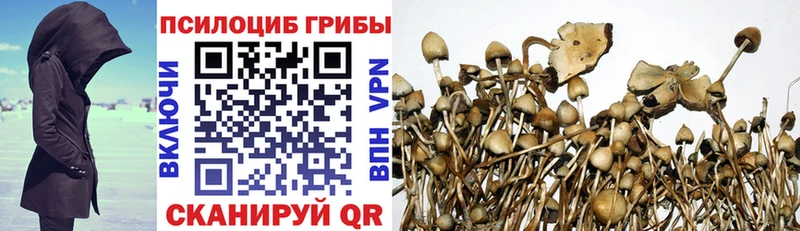 Купить закладки Льгов Псилоцибиновые грибы MAGIC MUSHROOMS